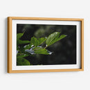 Leafs - 2HumanKind | Cuadro decorativo de Canvas Lab