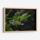 Leafs - 2HumanKind | Cuadro decorativo de Canvas Lab