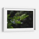 Leafs - 2HumanKind | Cuadro decorativo de Canvas Lab