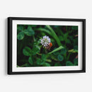 Abeja Gorda - 2HumanKind | Cuadro decorativo de Canvas Lab