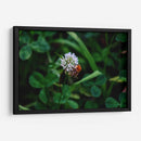 Abeja Gorda - 2HumanKind | Cuadro decorativo de Canvas Lab