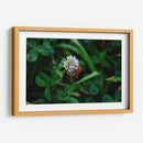 Abeja Gorda - 2HumanKind | Cuadro decorativo de Canvas Lab