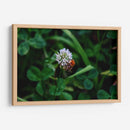 Abeja Gorda - 2HumanKind | Cuadro decorativo de Canvas Lab