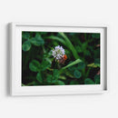 Abeja Gorda - 2HumanKind | Cuadro decorativo de Canvas Lab