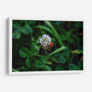 Abeja Gorda - 2HumanKind | Cuadro decorativo de Canvas Lab