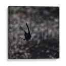 Mariposa en Movimiento - 2HumanKind | Cuadro decorativo de Canvas Lab