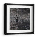 Mariposa en Movimiento - 2HumanKind | Cuadro decorativo de Canvas Lab