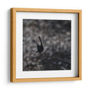 Mariposa en Movimiento - 2HumanKind | Cuadro decorativo de Canvas Lab