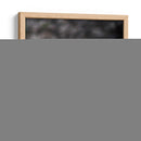 Mariposa en Movimiento - 2HumanKind | Cuadro decorativo de Canvas Lab