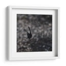 Mariposa en Movimiento - 2HumanKind | Cuadro decorativo de Canvas Lab