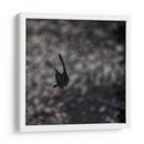 Mariposa en Movimiento - 2HumanKind | Cuadro decorativo de Canvas Lab