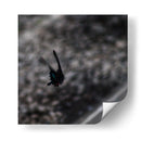 Mariposa en Movimiento - 2HumanKind | Cuadro decorativo de Canvas Lab