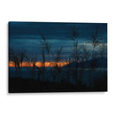 Espigas al Atardecer - 2HumanKind | Cuadro decorativo de Canvas Lab