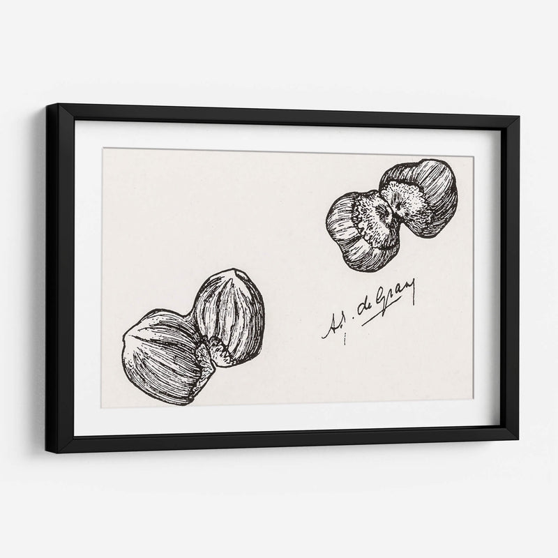 Cuatro castañas - Julie de Graag | Cuadro decorativo de Canvas Lab