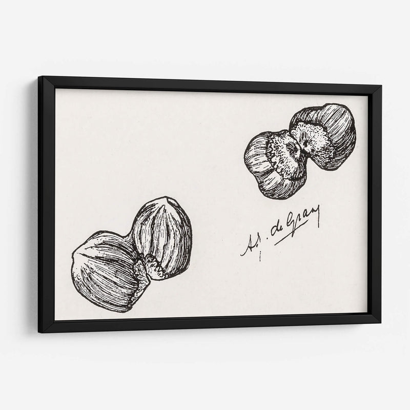 Cuatro castañas - Julie de Graag | Cuadro decorativo de Canvas Lab