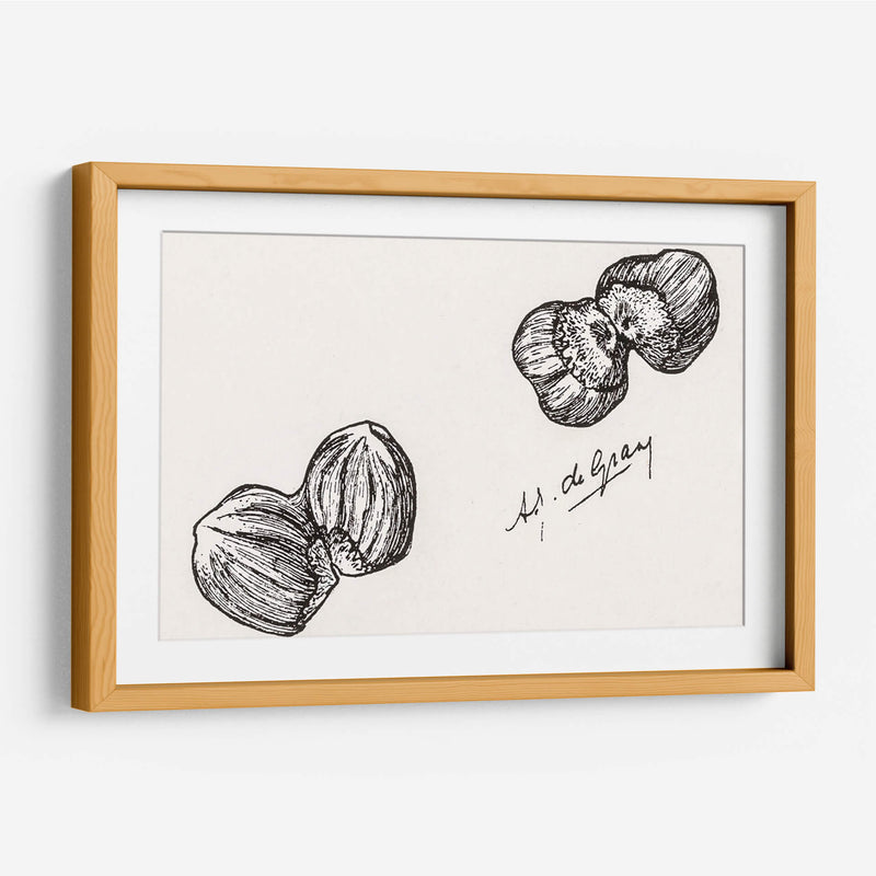 Cuatro castañas - Julie de Graag | Cuadro decorativo de Canvas Lab