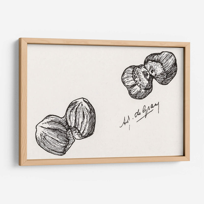 Cuatro castañas - Julie de Graag | Cuadro decorativo de Canvas Lab