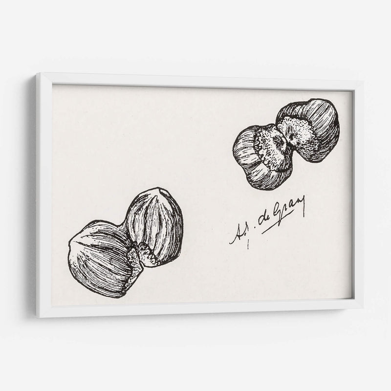 Cuatro castañas - Julie de Graag | Cuadro decorativo de Canvas Lab
