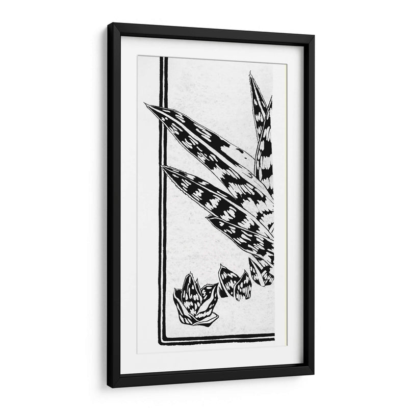 Fragmento de un estudio de una planta suculenta - Julie de Graag | Cuadro decorativo de Canvas Lab