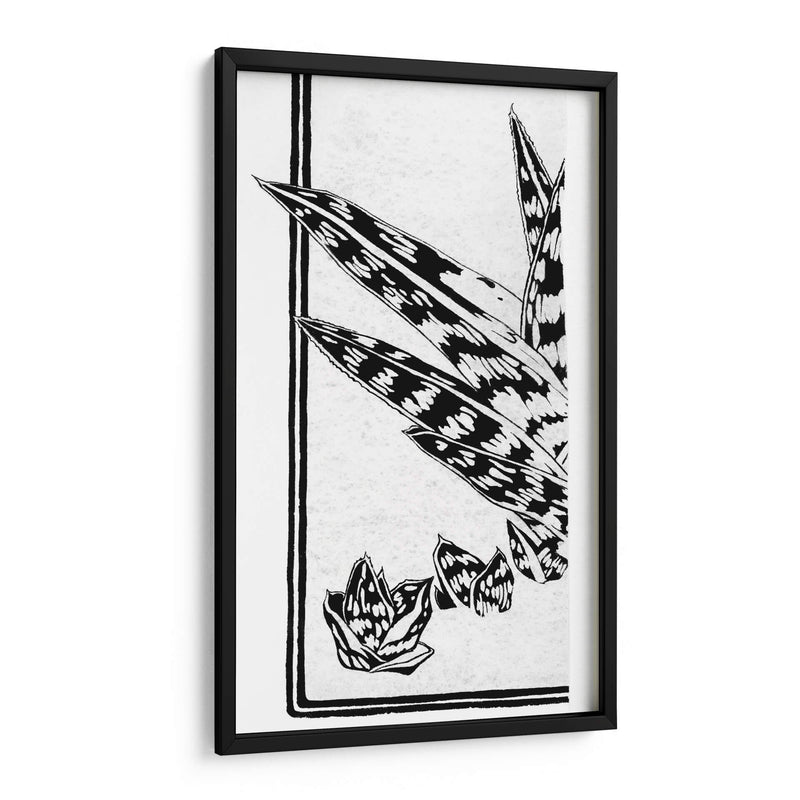 Fragmento de un estudio de una planta suculenta - Julie de Graag | Cuadro decorativo de Canvas Lab