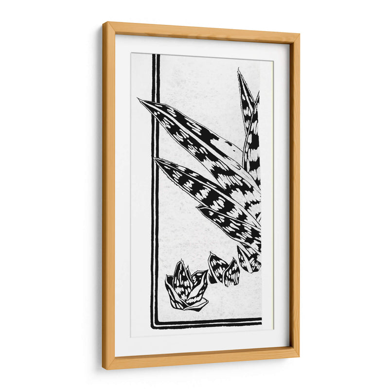 Fragmento de un estudio de una planta suculenta - Julie de Graag | Cuadro decorativo de Canvas Lab