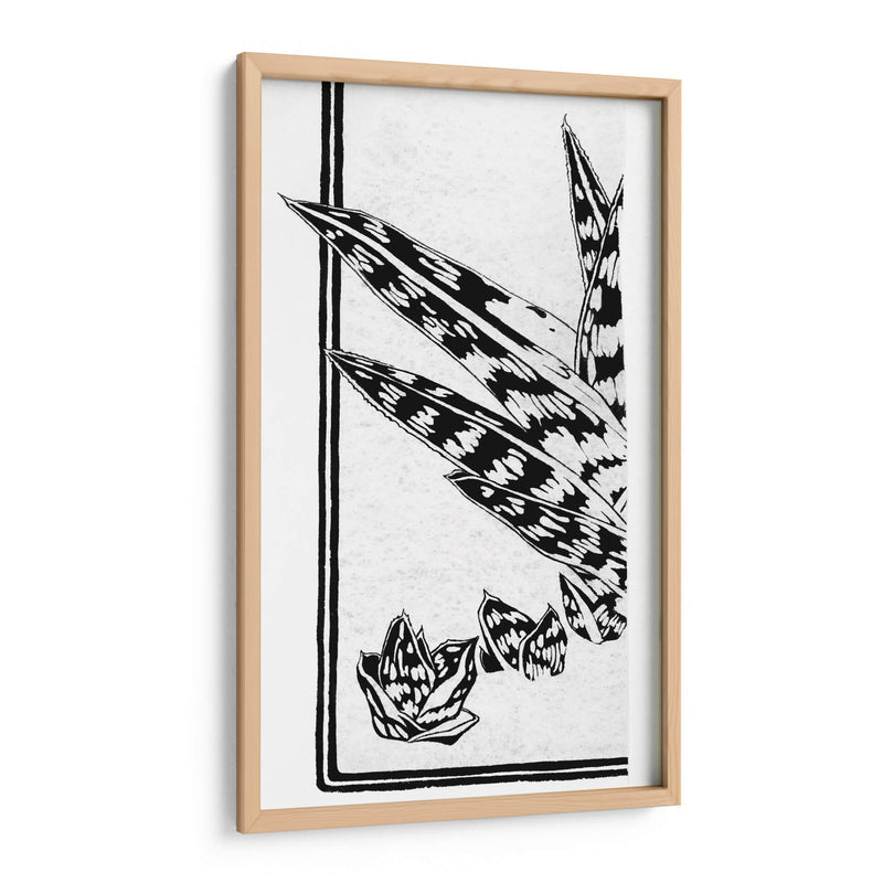 Fragmento de un estudio de una planta suculenta - Julie de Graag | Cuadro decorativo de Canvas Lab