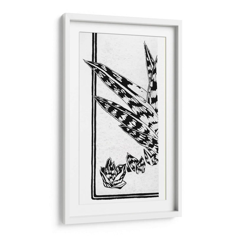 Fragmento de un estudio de una planta suculenta - Julie de Graag | Cuadro decorativo de Canvas Lab