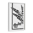 Fragmento de un estudio de una planta suculenta - Julie de Graag | Cuadro decorativo de Canvas Lab