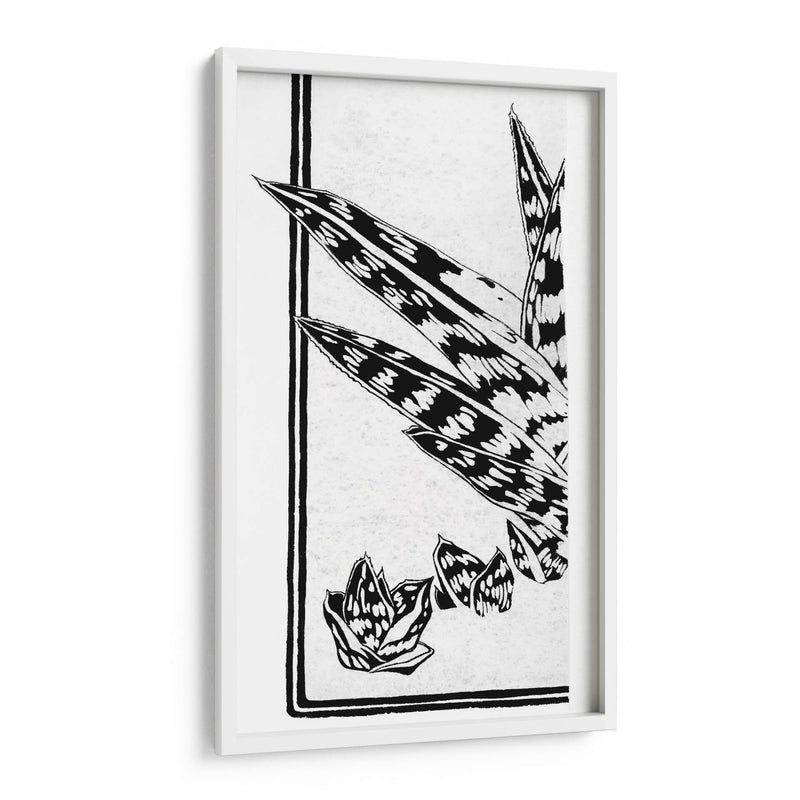 Fragmento de un estudio de una planta suculenta - Julie de Graag | Cuadro decorativo de Canvas Lab