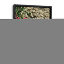 Street Florals: Bugambilia in Pink Pastel - Ani Coloca | Cuadro decorativo de Canvas Lab