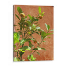 Citrus Streets: A Vintage Vibe - Ani Coloca | Cuadro decorativo de Canvas Lab
