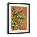 Citrus Streets: A Vintage Vibe - Ani Coloca | Cuadro decorativo de Canvas Lab