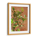 Citrus Streets: A Vintage Vibe - Ani Coloca | Cuadro decorativo de Canvas Lab