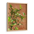 Citrus Streets: A Vintage Vibe - Ani Coloca | Cuadro decorativo de Canvas Lab