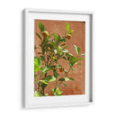 Citrus Streets: A Vintage Vibe - Ani Coloca | Cuadro decorativo de Canvas Lab