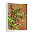 Citrus Streets: A Vintage Vibe - Ani Coloca | Cuadro decorativo de Canvas Lab