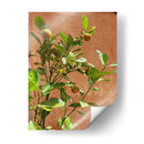 Citrus Streets: A Vintage Vibe - Ani Coloca | Cuadro decorativo de Canvas Lab