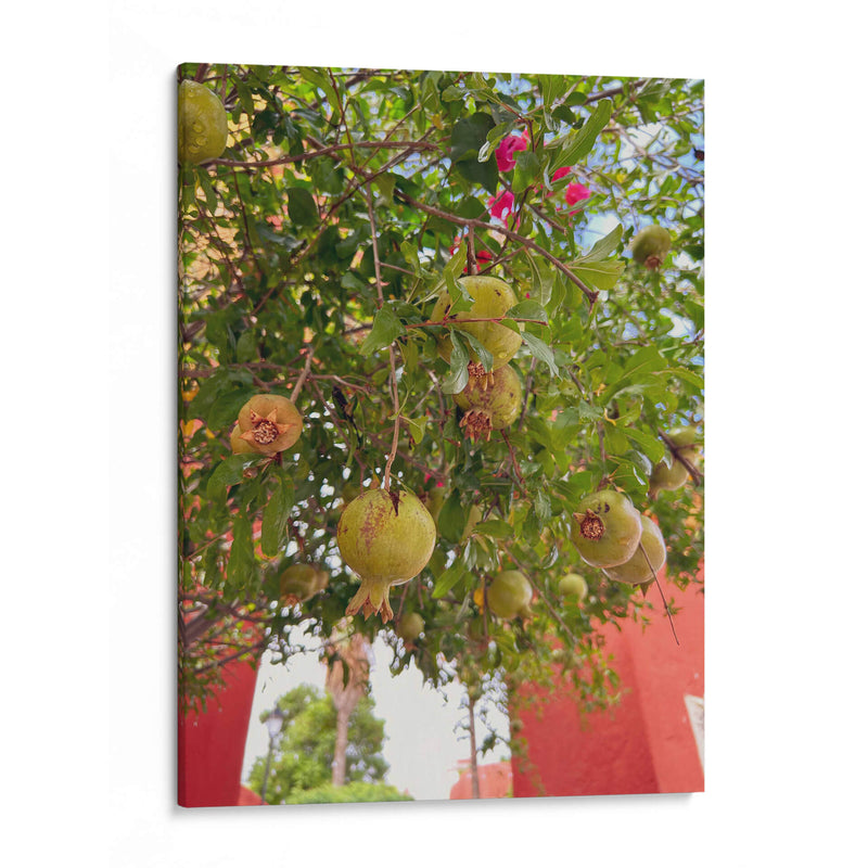 Pomegranate Streets: Urban Fruitscape - Ani Coloca | Cuadro decorativo de Canvas Lab