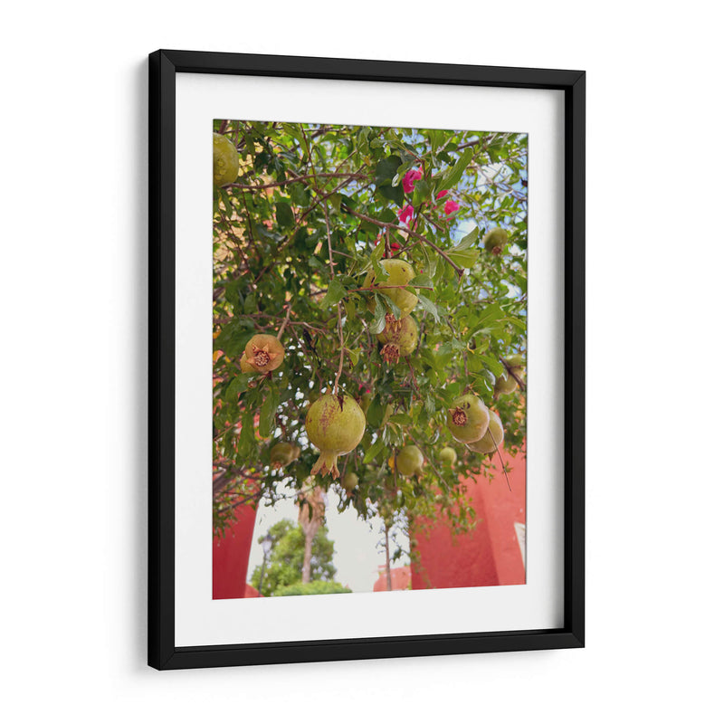 Pomegranate Streets: Urban Fruitscape - Ani Coloca | Cuadro decorativo de Canvas Lab