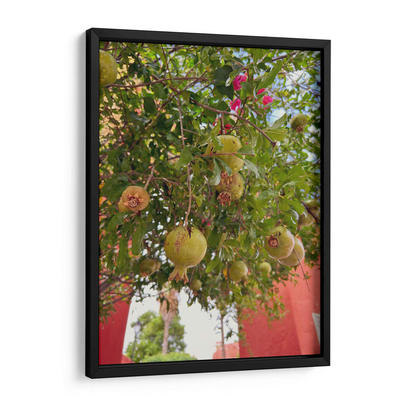 Pomegranate Streets: Urban Fruitscape - Ani Coloca | Cuadro decorativo de Canvas Lab