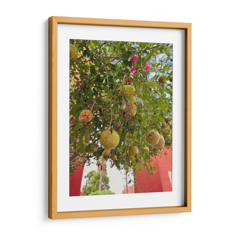 Pomegranate Streets: Urban Fruitscape - Ani Coloca | Cuadro decorativo de Canvas Lab