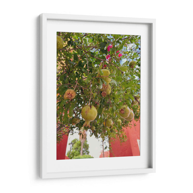 Pomegranate Streets: Urban Fruitscape - Ani Coloca | Cuadro decorativo de Canvas Lab