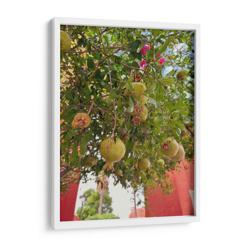 Pomegranate Streets: Urban Fruitscape - Ani Coloca | Cuadro decorativo de Canvas Lab