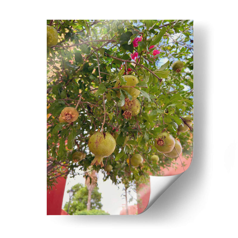 Pomegranate Streets: Urban Fruitscape - Ani Coloca | Cuadro decorativo de Canvas Lab