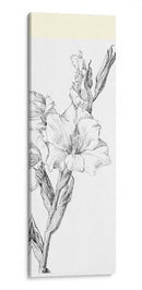 Gladiolo - Julie de Graag | Cuadro decorativo de Canvas Lab