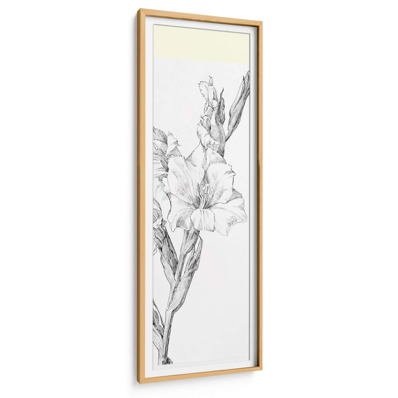 Gladiolo - Julie de Graag | Cuadro decorativo de Canvas Lab