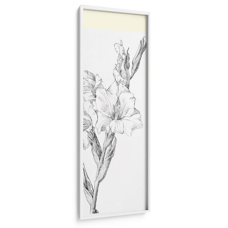 Gladiolo - Julie de Graag | Cuadro decorativo de Canvas Lab