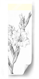 Gladiolo - Julie de Graag | Cuadro decorativo de Canvas Lab