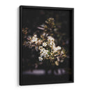 Dark Nature and White Flower Macro Photography - Ani Coloca | Cuadro decorativo de Canvas Lab