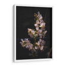 Nature in Focus: White Flowers - Ani Coloca | Cuadro decorativo de Canvas Lab